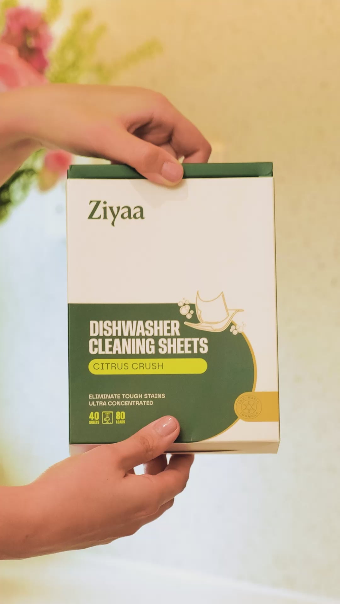 Dishwasher Cleaning Sheets