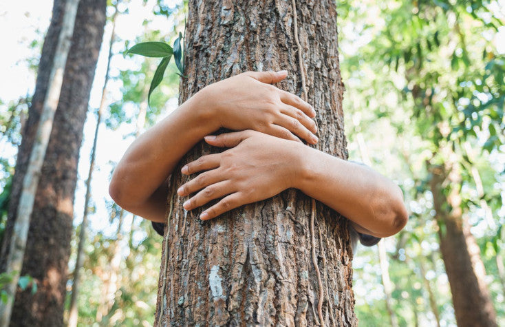 Sustainable Practices